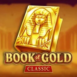 game logo by Playson on wintinos.com