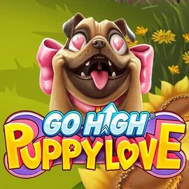 game logo by RubyPlay on wintinos.com